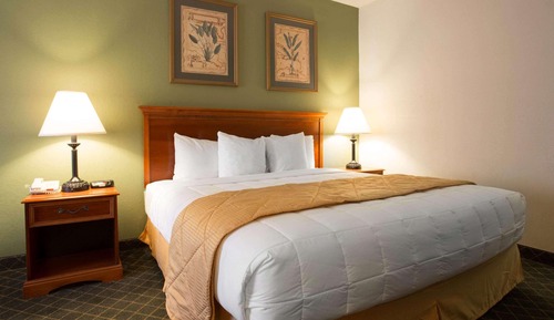 Standard Room, 1 King Bed, Non Smoking