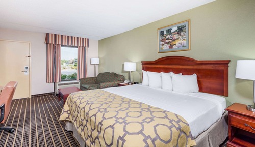 Room, 1 King Bed, Non Smoking