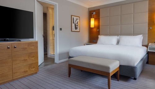 King, 1 King Bed with Sofa bed