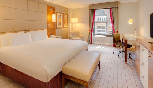 Room, 1 King Bed