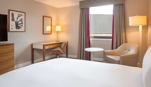 Room, 1 King Bed