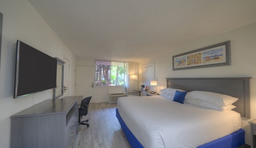 Standard Room, 1 King Bed, Accessible