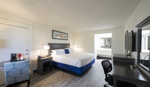 Standard Room, 1 King Bed
