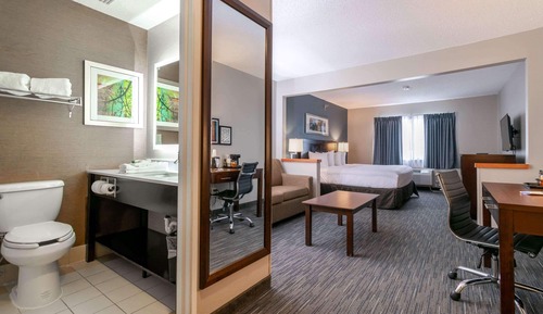 Deluxe Room, 1 King Bed, Accessible, Non Smoking (Mobility/Hearing, Roll-in Shower)
