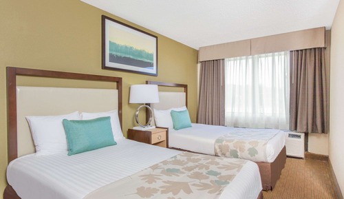 Double Room, 2 Double Beds