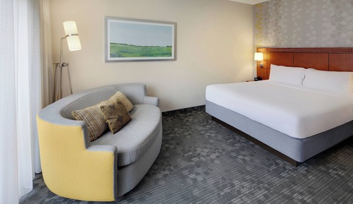 Room, 1 King Bed with Sofa bed
