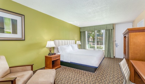Standard Room, 1 King Bed, Accessible, Pool View