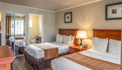 Standard Double Room, 2 Double Beds