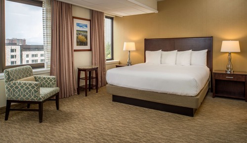 Room, 1 Queen Bed, Non Smoking