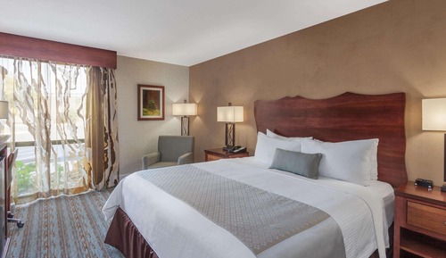 Room, 1 King Bed, Non Smoking
