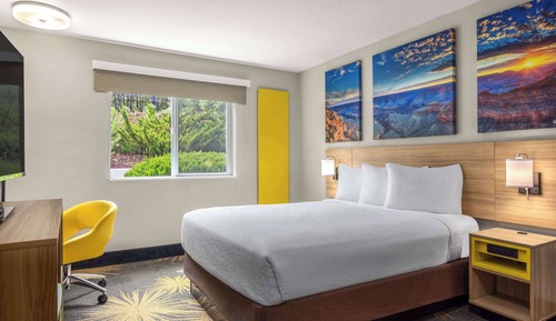 Room, 1 Queen Bed, Mobility Accessible, Non Smoking (Roll-in Shower)