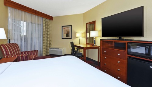Room, 1 King Bed, Accessible, Non Smoking (Roll-in Shower)