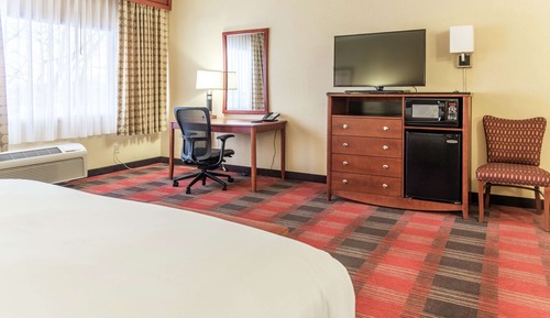 Room, 1 King Bed with Sofa bed, Non Smoking (Larger Room)