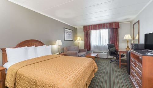 Room, 1 Queen Bed, Non Smoking