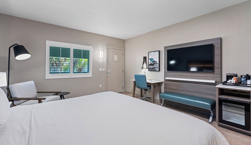 Room, 1 King Bed, Non Smoking