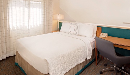 Studio, 1 Queen Bed with Sofa bed