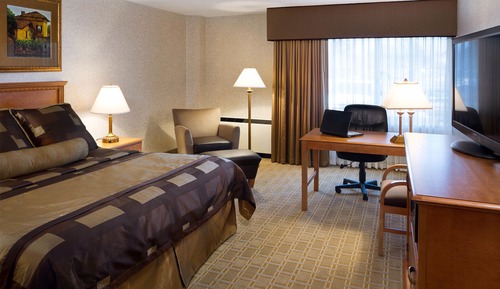 Standard Single Room, 1 King Bed