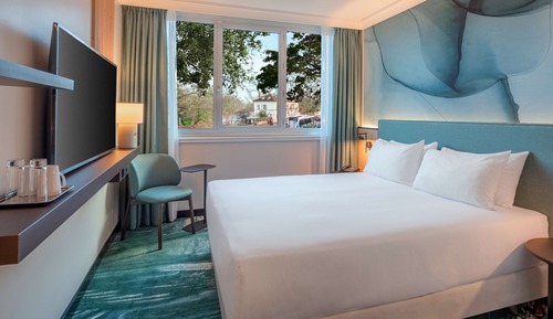Room, 1 Queen Bed