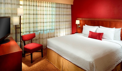Room, 1 King Bed with Sofa bed (Hearing Accessible)
