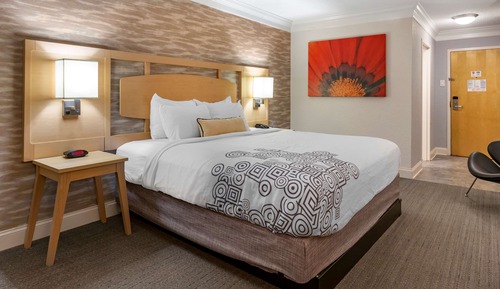 Standard Room, 1 King Bed, Non Smoking, Refrigerator