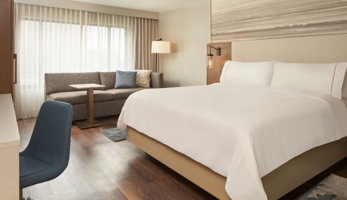 Traditional Room, 1 King Bed with Sofa bed (Mobility Accessible, Roll-In Shower)