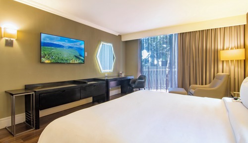Executive Room, 1 King Bed