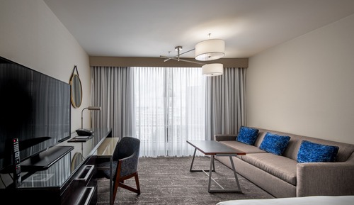 Room, 1 King Bed with Sofa bed