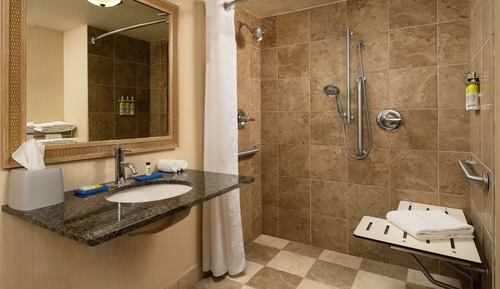 Standard Room, 1 Double Bed, Accessible (Mobility, Roll-In Shower)