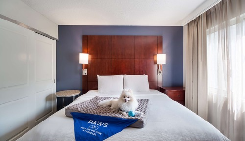 Standard Studio Suite, 1 King Bed with Sofa bed (Hearing)