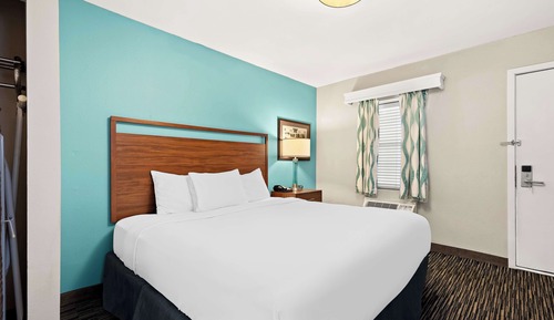 Standard Room, 1 King Bed, Non Smoking, Refrigerator & Microwave