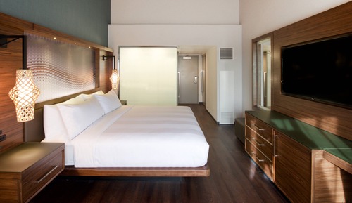 Room, 1 King Bed, Non Smoking