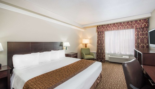 Room, 1 King Bed