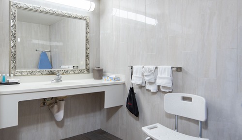 Deluxe Room, 1 King Bed, Accessible (Roll-in Shower)