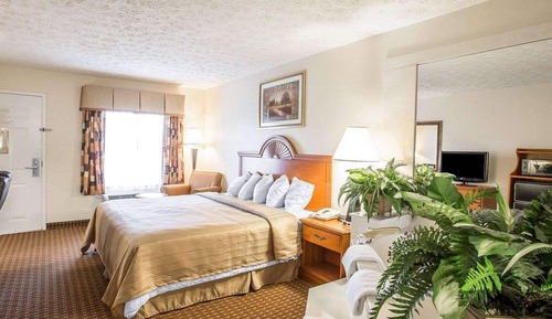 Room, 1 King Bed, Non Smoking