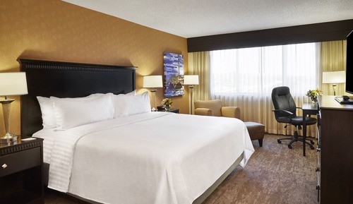 Standard Room, 1 King Bed with Sofa bed