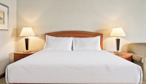 Traditional Room, 1 King Bed