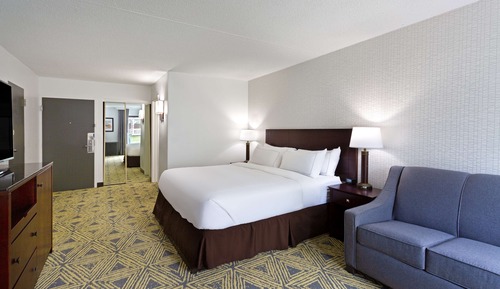 Room, 1 King Bed, Accessible, Non Smoking