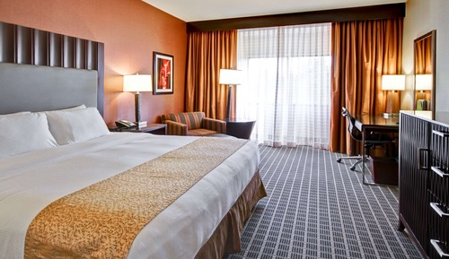 Room, 1 King Bed