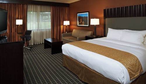 Room, 1 King Bed with Sofa bed, Accessible (Roll-In Shower)