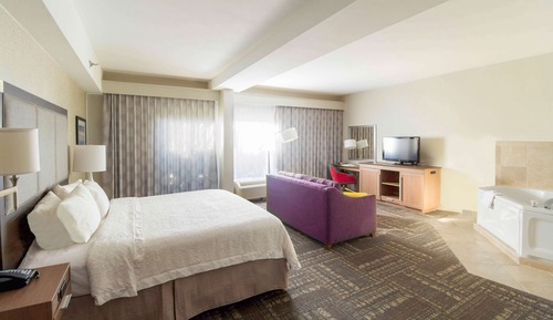 Room, 1 King Bed, Non Smoking, Jetted Tub