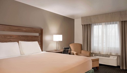 Room, 1 King Bed, Non Smoking