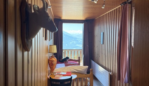 Single Room, Private Bathroom, Mountain View
