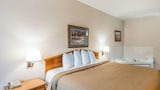 Jacuzzi King Suite