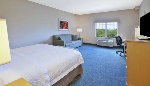 Room, 1 King Bed, Non Smoking, Refrigerator