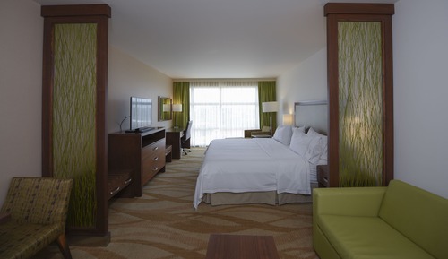 Suite, 1 King Bed (Top Floor)