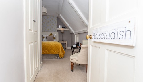 Standard Double Room, Ensuite (Horseradish)