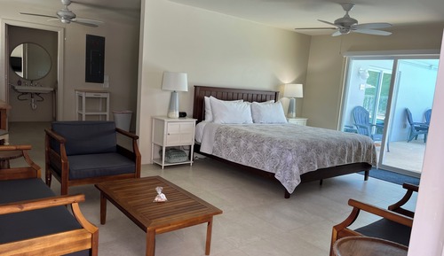 Suite, 1 King Bed, Kitchen (The Palm)