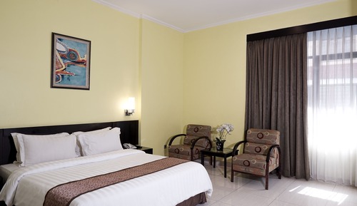 Superior Double or Twin Room