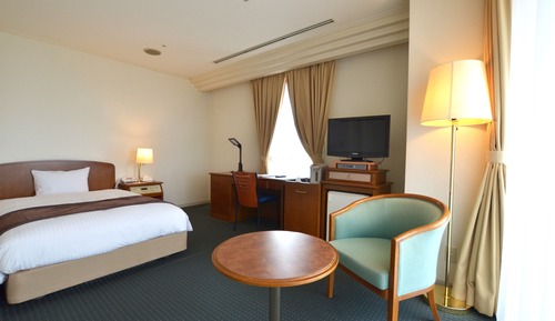 Superior Single Room