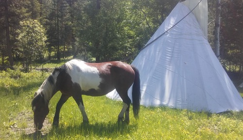2 Socks Tipi (Shared bath house)